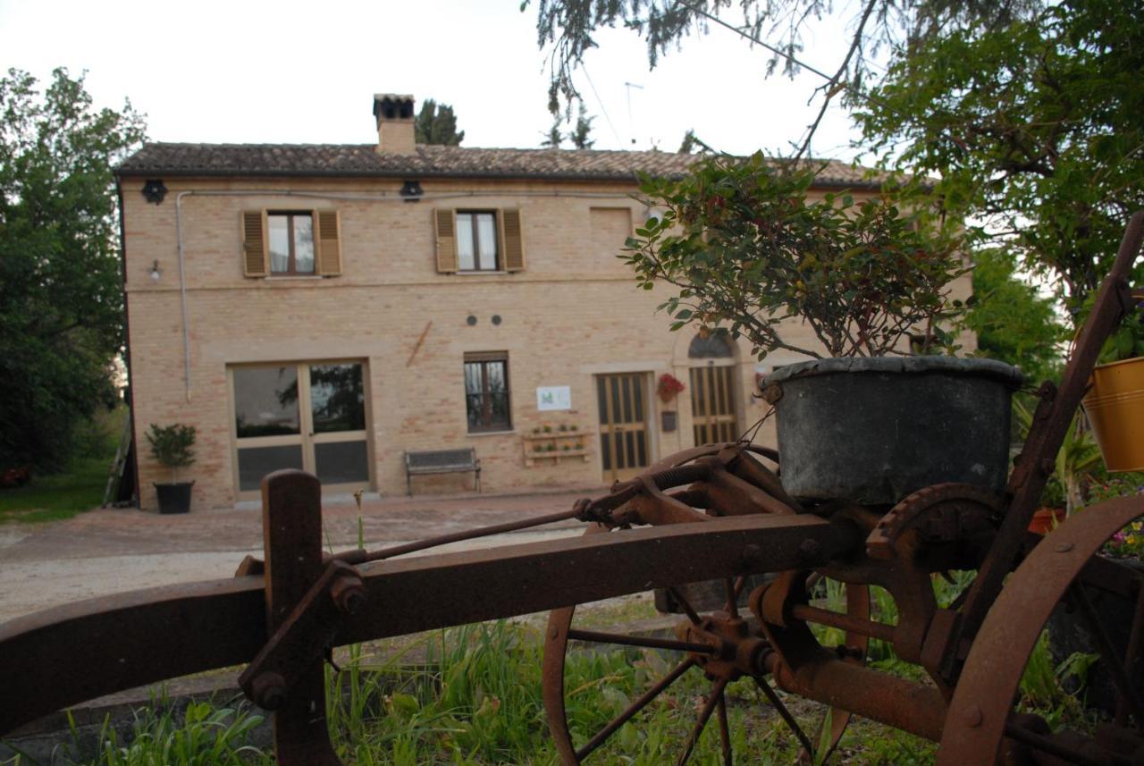 Fattoria Nonno Neno B&B Appignano  ภายนอก รูปภาพ